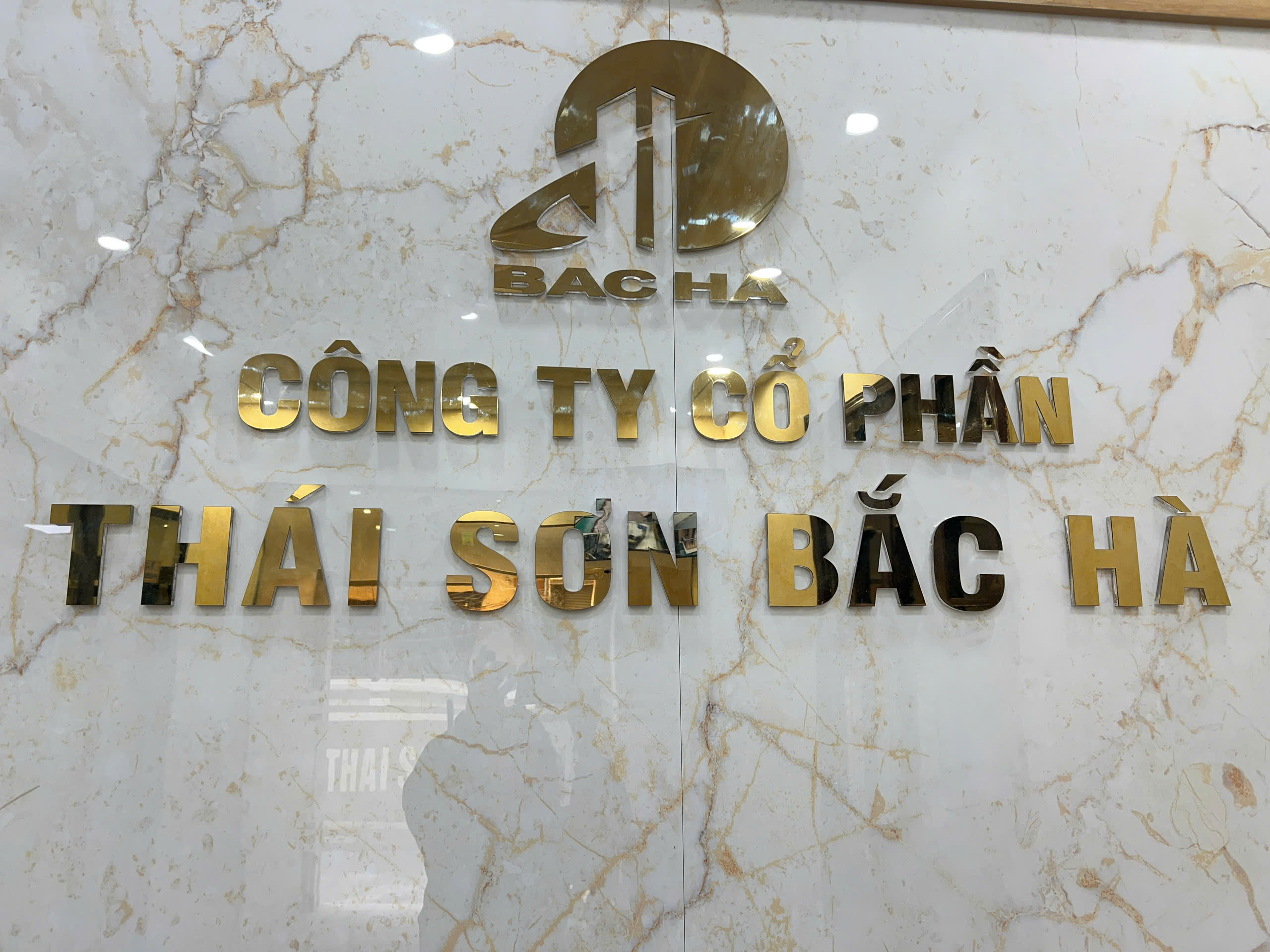 lĩnh vực hoạt động